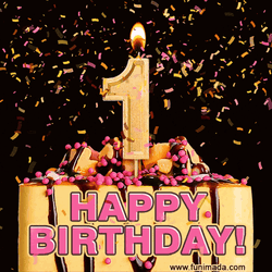 1St Birthday First Birthday GIF
