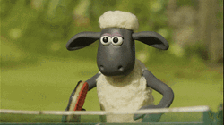2 Black Sheep Table Tennis Competition GIF
