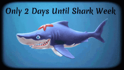 2 Days Until Shark Week Notice GIF