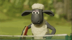 2 Sheep Playing Table Tennis GIF