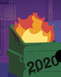 2020 Dumpster Fire GIF