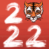 2022 Year Of The Tiger GIF