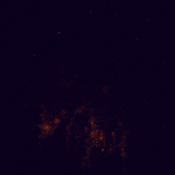 2024 Belongs GIF