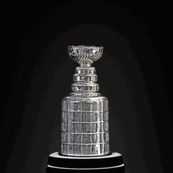 2024 Stanley Cup Sparkling GIF