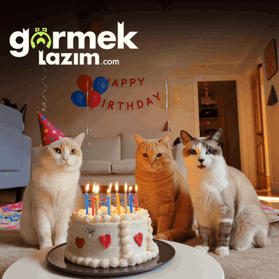 3 Cats Sitting At Birthday Cake GIF