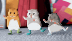 3 Hamster Dance Jumps Side To Side GIF