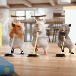 3 Hamster Dance While Sweeping Floor GIF