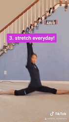 3 Stretch Everyday Work Out GIF