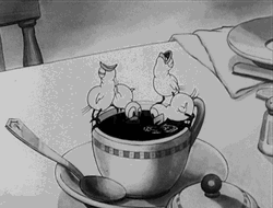 30S Coffee Wayward Canary GIF