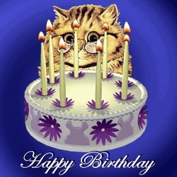 3d Birthday Cat Revolving Flower Cake GIF 