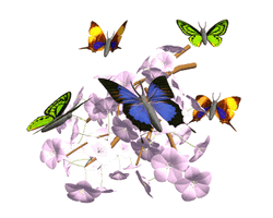 3d Butterflies On Flowers