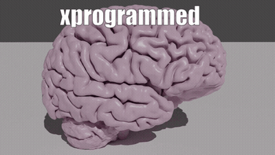 3D Human Brain With Xprogrammed GIF