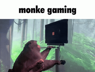 3D Monkey Computer Gaming GIF