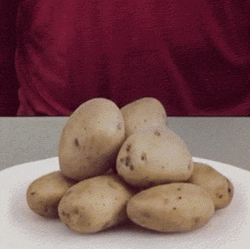 3D Potato Picture GIF