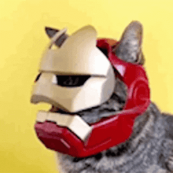 3D Printing Iron Man Hat For Cats GIF