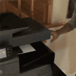 3D Printing Kitten Zach King GIF