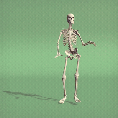 3D Skeleton Ribs And Pelvis GIF