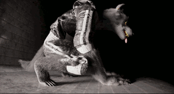 3D Werewolf Black And White Hounding GIF