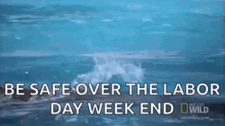 4 Day Weekend Be Save From Sharks GIF
