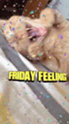4 Day Weekend Friday Feeling GIF