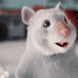 4 Hamster Dance Circling Hands Stomp Side To Side GIF