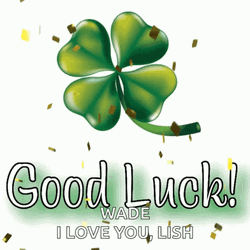 4 Leaf Clover Good Luck Confetti GIF