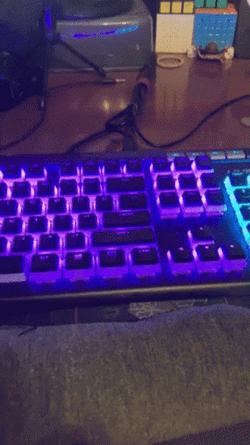 4 Uno Reverse Cards Reveal GIF