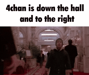 4Chan Reddit GIF