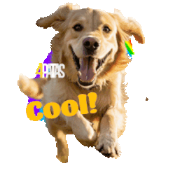 4Patasmx Perrocool Sticker GIF