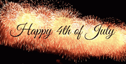 4Th Of July Elegant Fireworks GIF