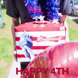 4Th Of July Funny Lucky View Budweiser Patriot GIF