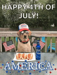 4th Of July Greeting With A Dog