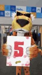5 Chester Cheetah Point GIF