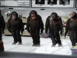 5 Monkey Foot Dancing Dance Fast Speed GIF