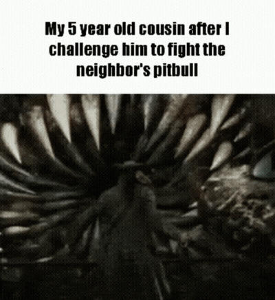 5 Year Old Cousin Challenged To Fight Neighbor's Pitbull GIF