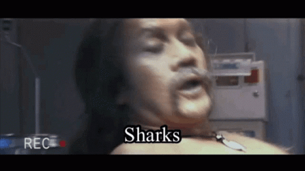 50 First Dates Ula Sharks GIF