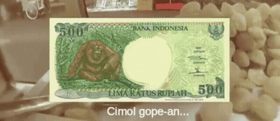 500 Bank Indonesia Lima Ratus Rupiah With A Monkey On It GIF