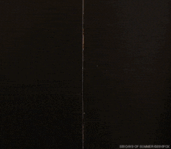 500 Days Of Summer Tom Hansen Inside Elevator GIF