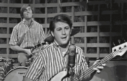 60S Beachboys Boy Band GIF