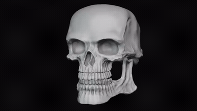 A 3D Model Of A Human Skull With A Mouth Open And Teeth On A Black Background . GIF
