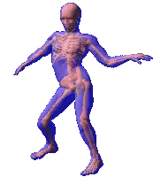 A 3D Model Of A Man With A Skeleton On His Body Sticker