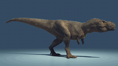 A 3D Rendering Of A T-Rex Dinosaur Walking On A Blue Surface GIF
