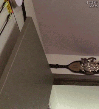 A 4Gifs.com Animated Image Of A Trophy On The Wall GIF