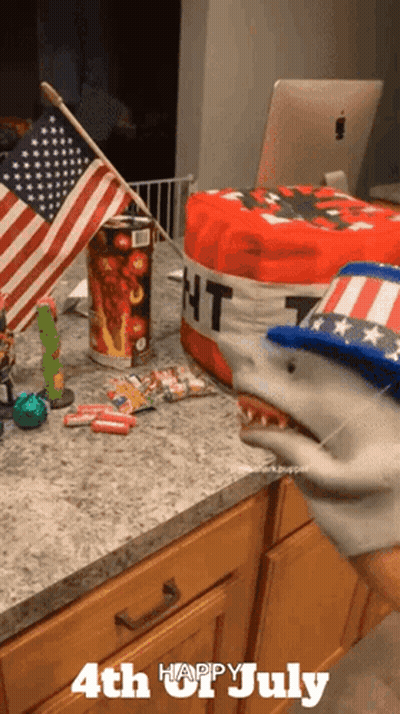 A 4Th Of July Greeting With A Shark Puppet On The Counter GIF