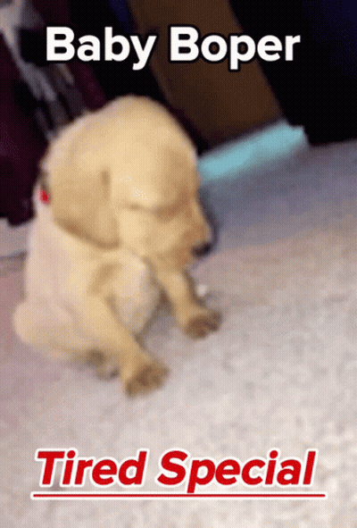 A Baby Boper Tired Special Poster With A Puppy On It GIF