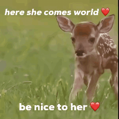 Deer GIFs