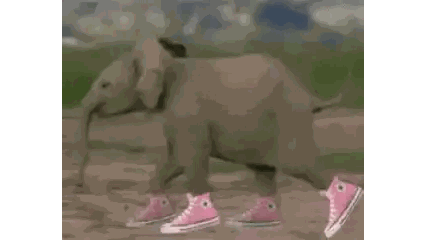 A Baby Elephant Wearing Pink Converse Shoes Is Walking On A Dirt Field . Sticker