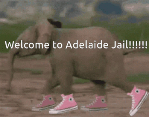 A Baby Elephant Wearing Pink Sneakers Is Walking In The Dirt GIF