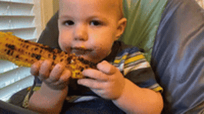 A Baby In A High Chair Is Eating Corn On The Cob GIF