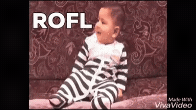 A Baby In A Zebra Print Outfit Is Sitting On A Couch With The Word Rofl Written Above Him . GIF